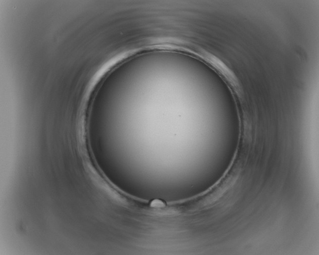 X0000114021384200910091404