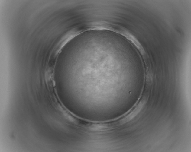 X0000114021385200910091404