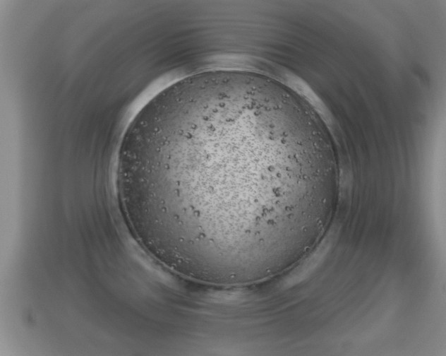 X0000114021386200910091404