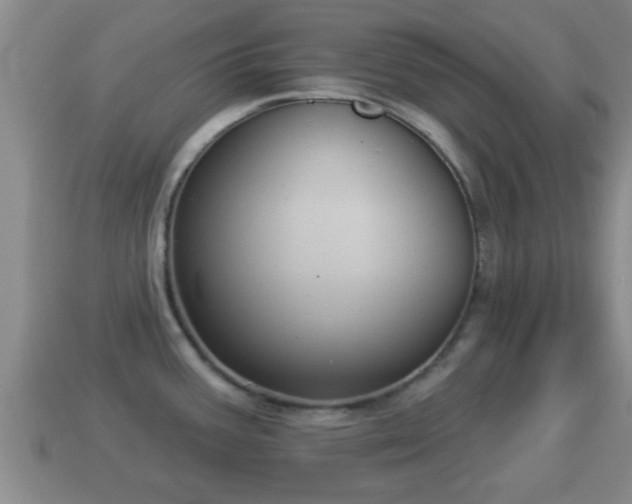 X0000114021387200910091404