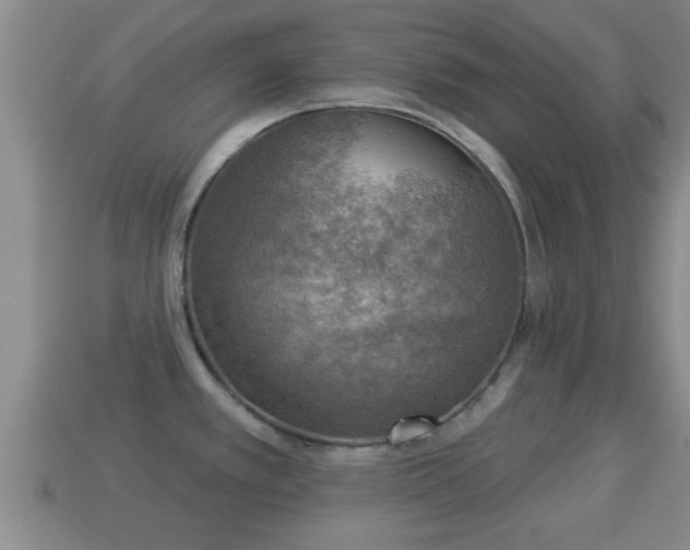 X0000114021389200910091404