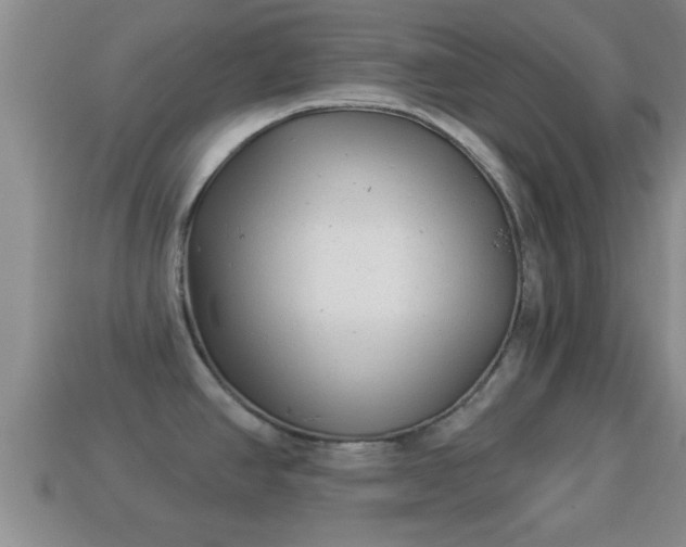 X0000114021390200910091404