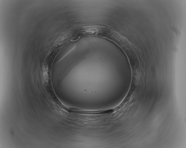 X0000114021394200910091403