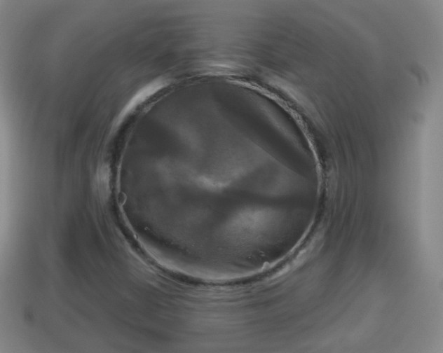 X0000114021402200910091404