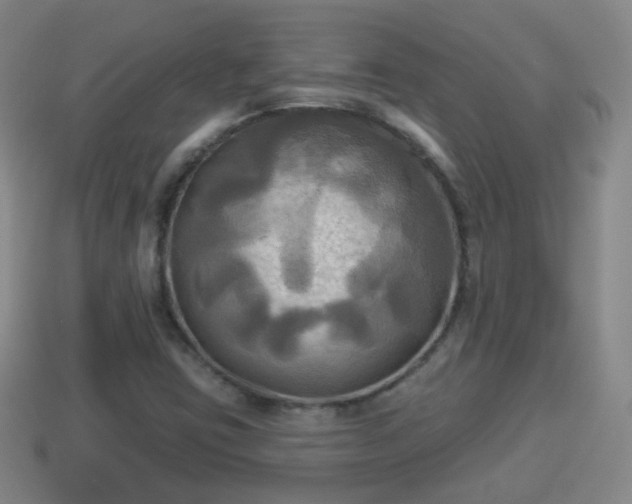 X0000114021403200910091404