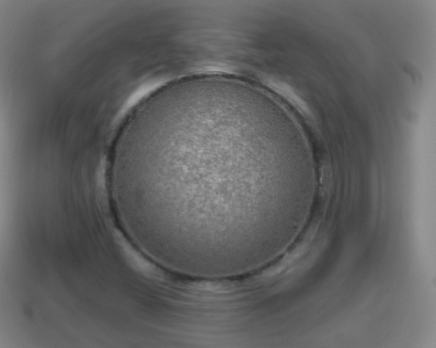 X0000114021404200910091404