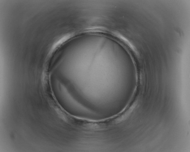 X0000114021405200910091404