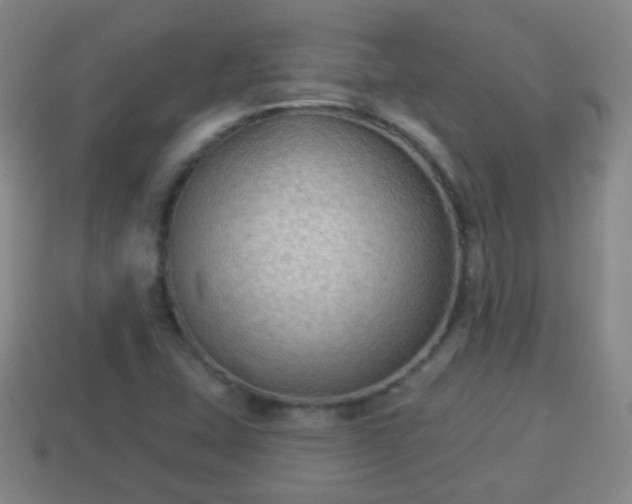 X0000114021407200910091404