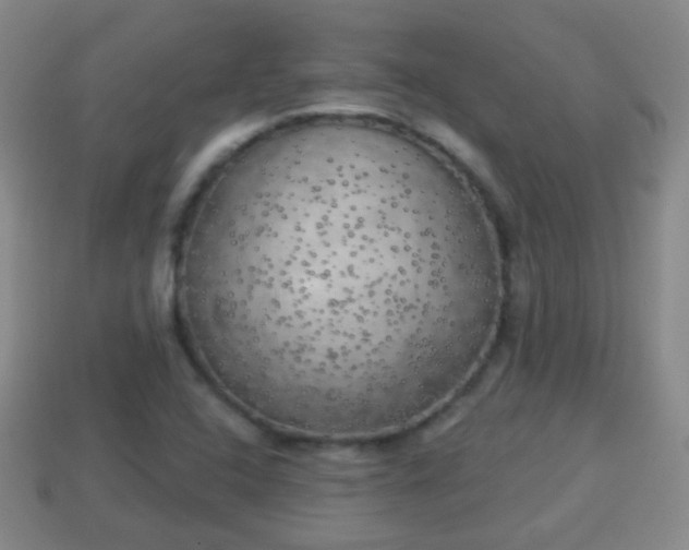 X0000114021408200910091404