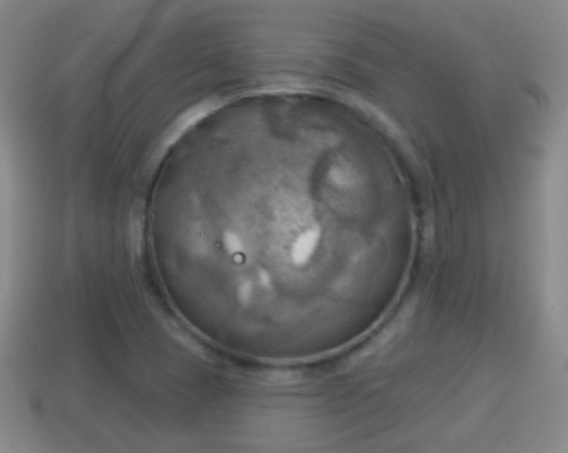 X0000114021409200910091404