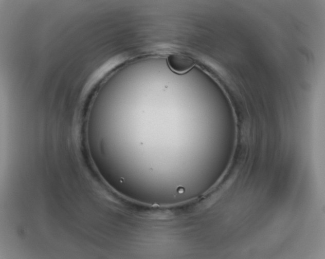X0000114021410200910091404
