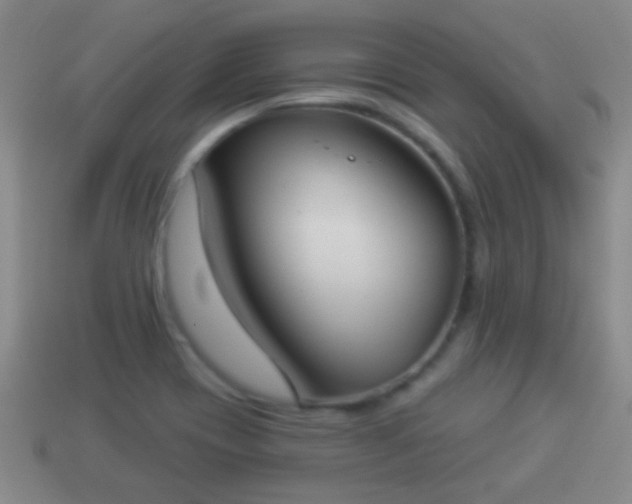 X0000114021417200910091404