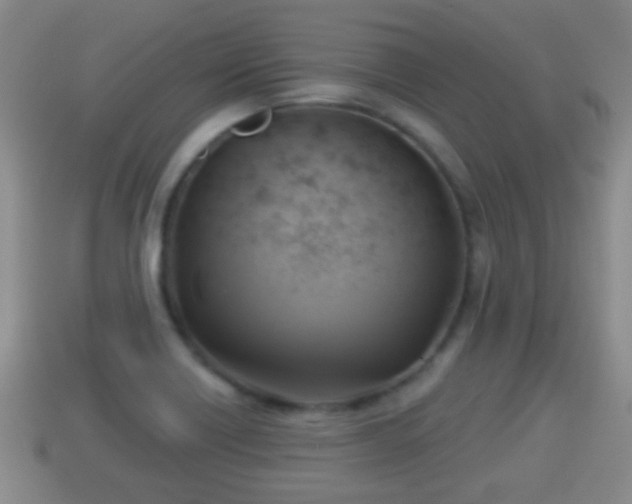 X0000114021418200910091404