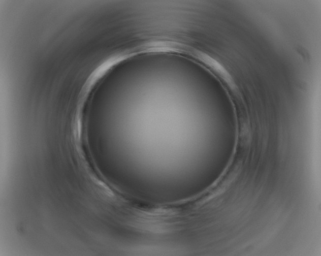 X0000114021419200910091404