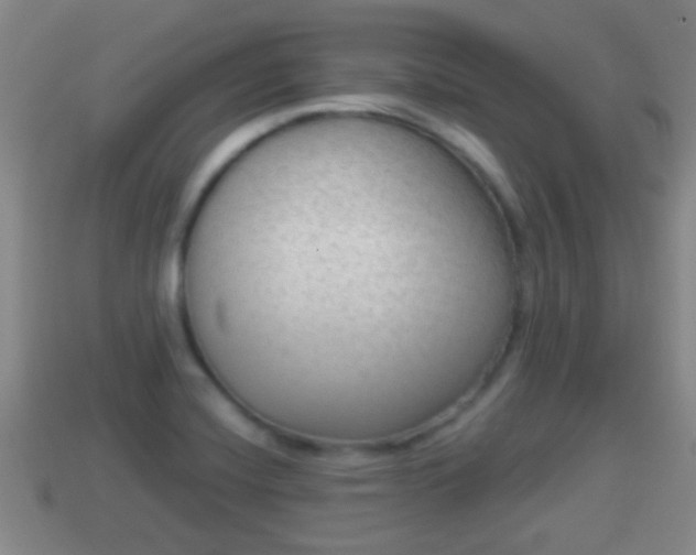 X0000114021420200910091404