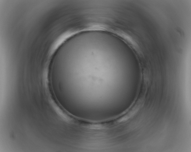 X0000114021422200910091404