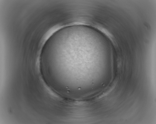 X0000114021423200910091404