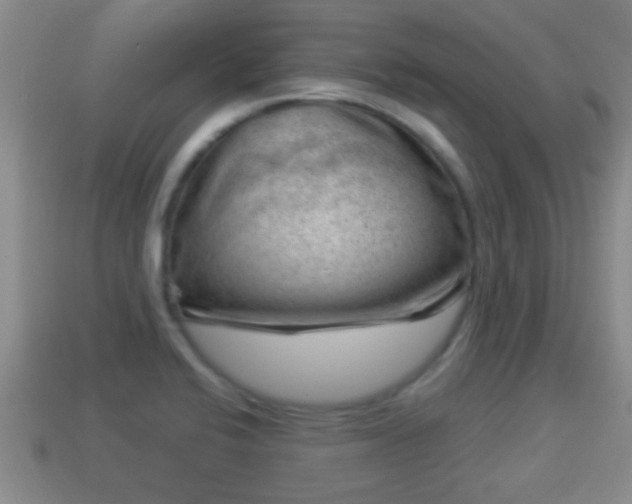 X0000114021424200910091404