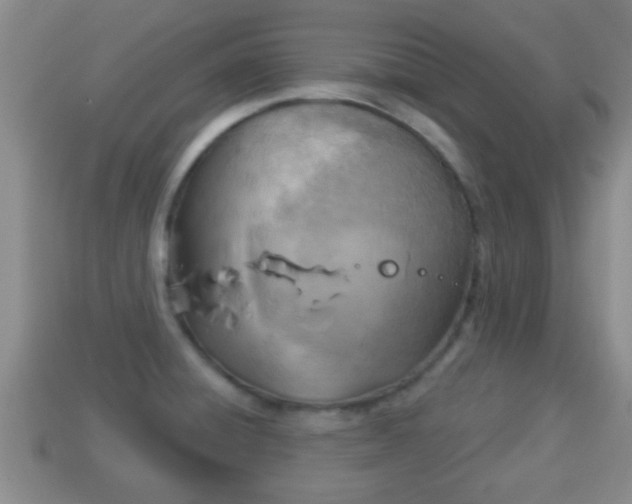 X0000114021428200910091404