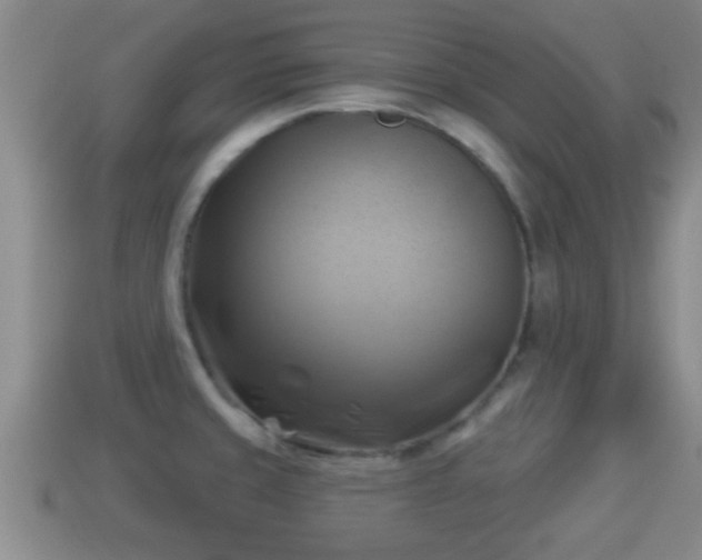X0000114021429200910091404