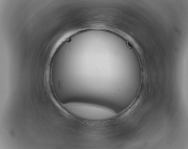 X0000114021432200910091404