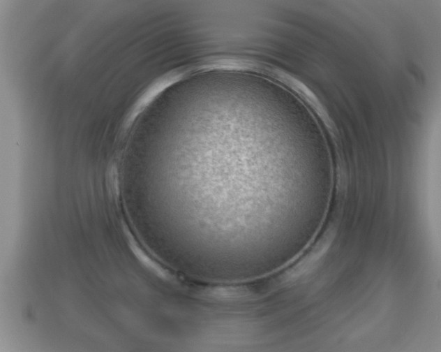 X0000114021433200910091404