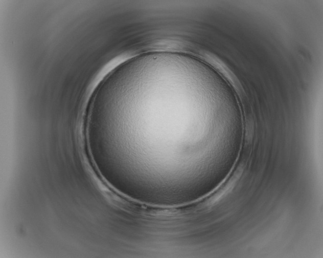 X0000114021434200910091404