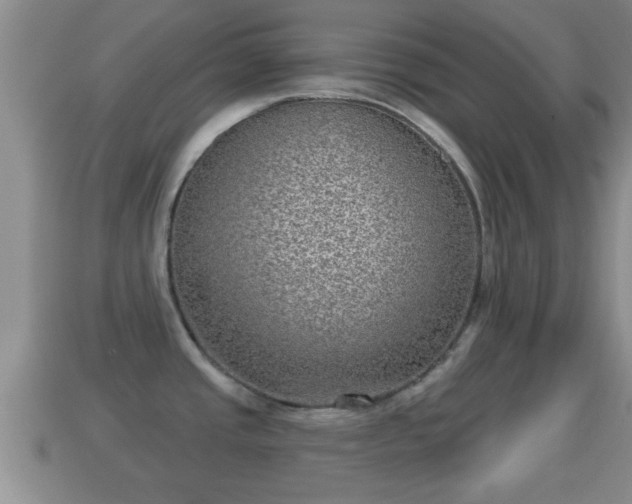X0000114021437200910091404