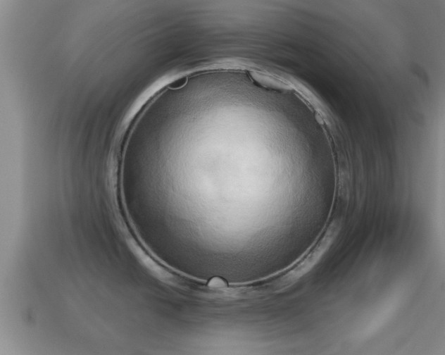 X0000114021438200910091404