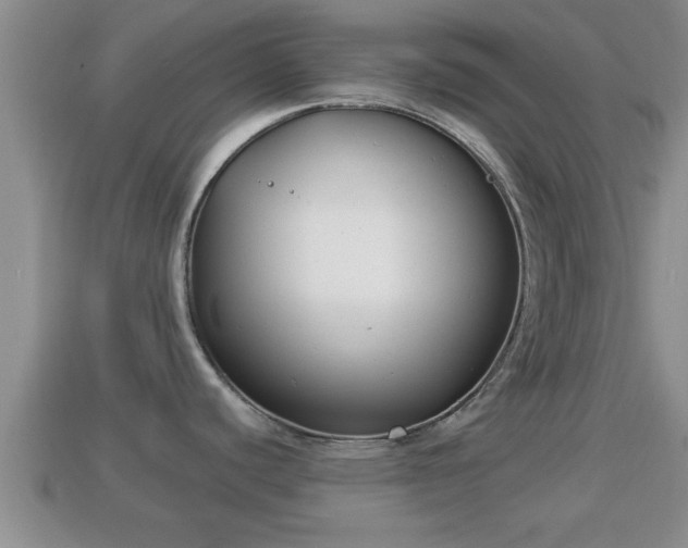 X0000114021440200910091404