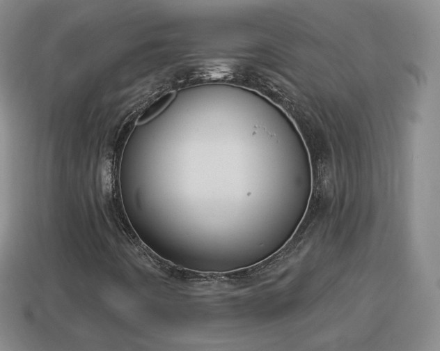 X0000114021442200910091403