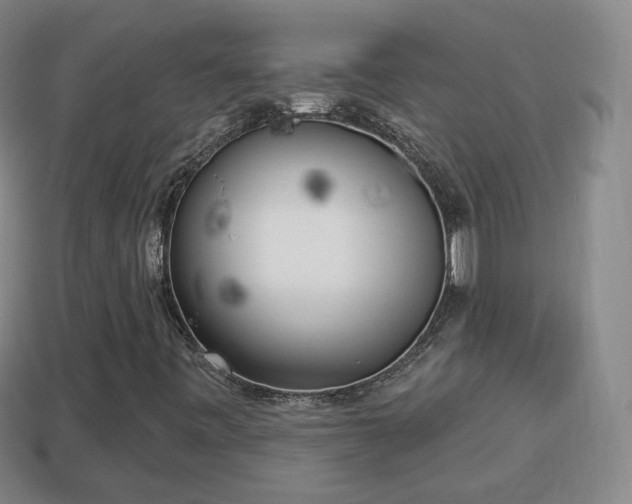 X0000114021443200910091403
