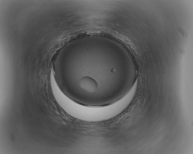 X0000114021445200910091403