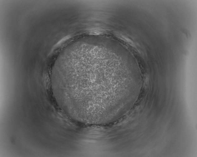 X0000114021446200910091403