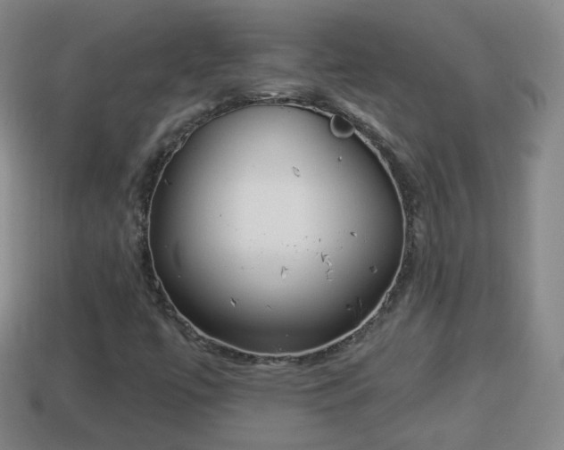 X0000114021447200910091403