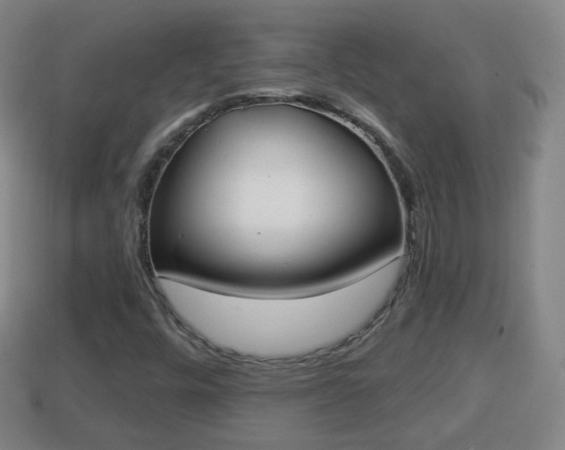 X0000114021448200910091403