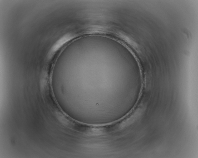 X0000114021453200910091403