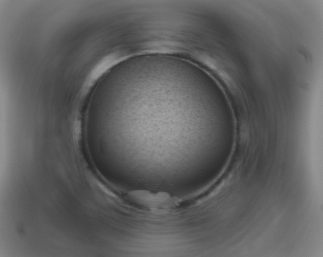 X0000114021459200910091403