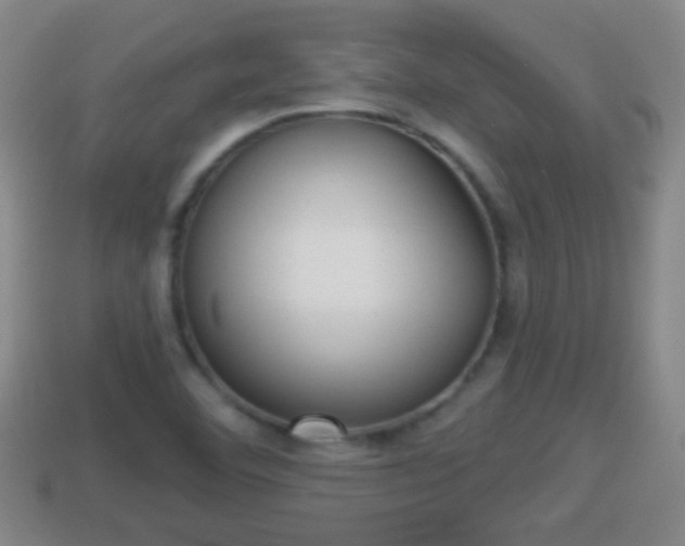 X0000114021460200910091403