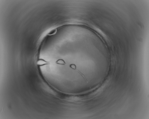 X0000114021463200910091403