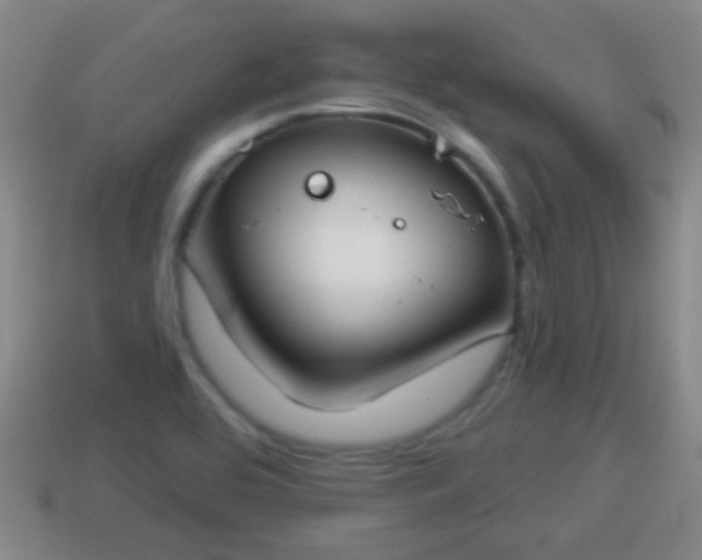 X0000114021464200910091403