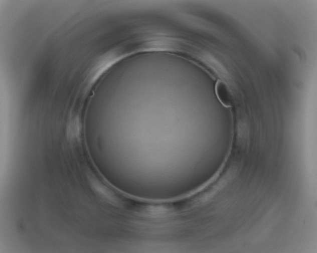 X0000114021465200910091403
