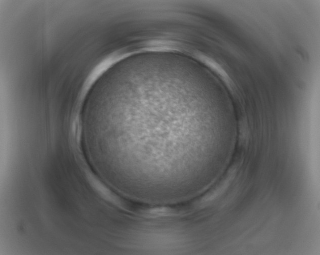 X0000114021467200910091403