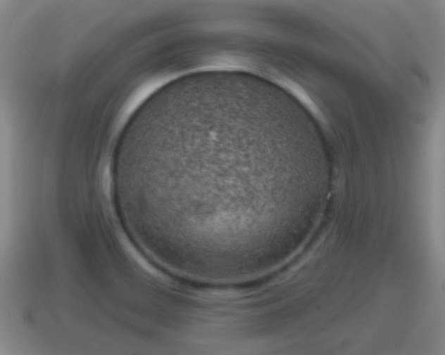 X0000114021468200910091403