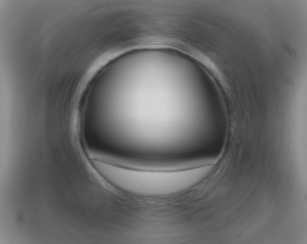 X0000114021472200910091403