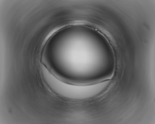 X0000114021473200910091403