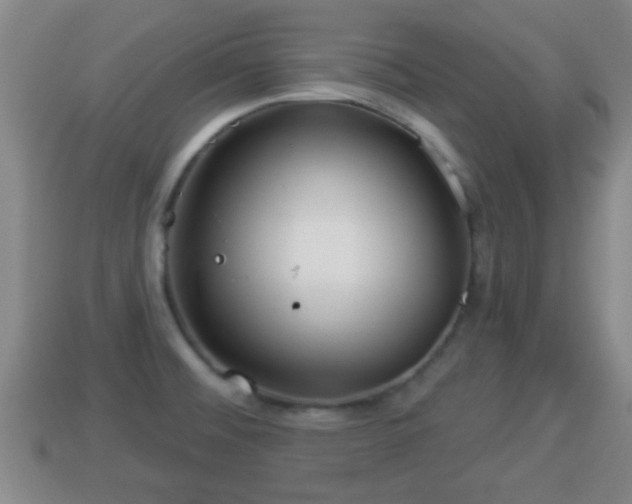 X0000114021476200910091403