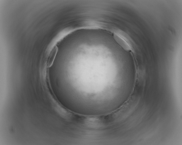 X0000114021477200910091403