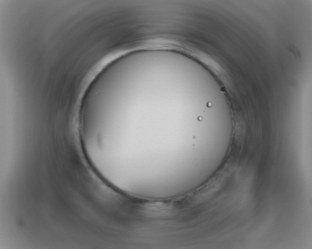 X0000114021478200910091403