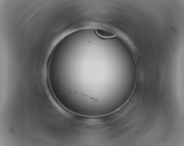 X0000114021479200910091403